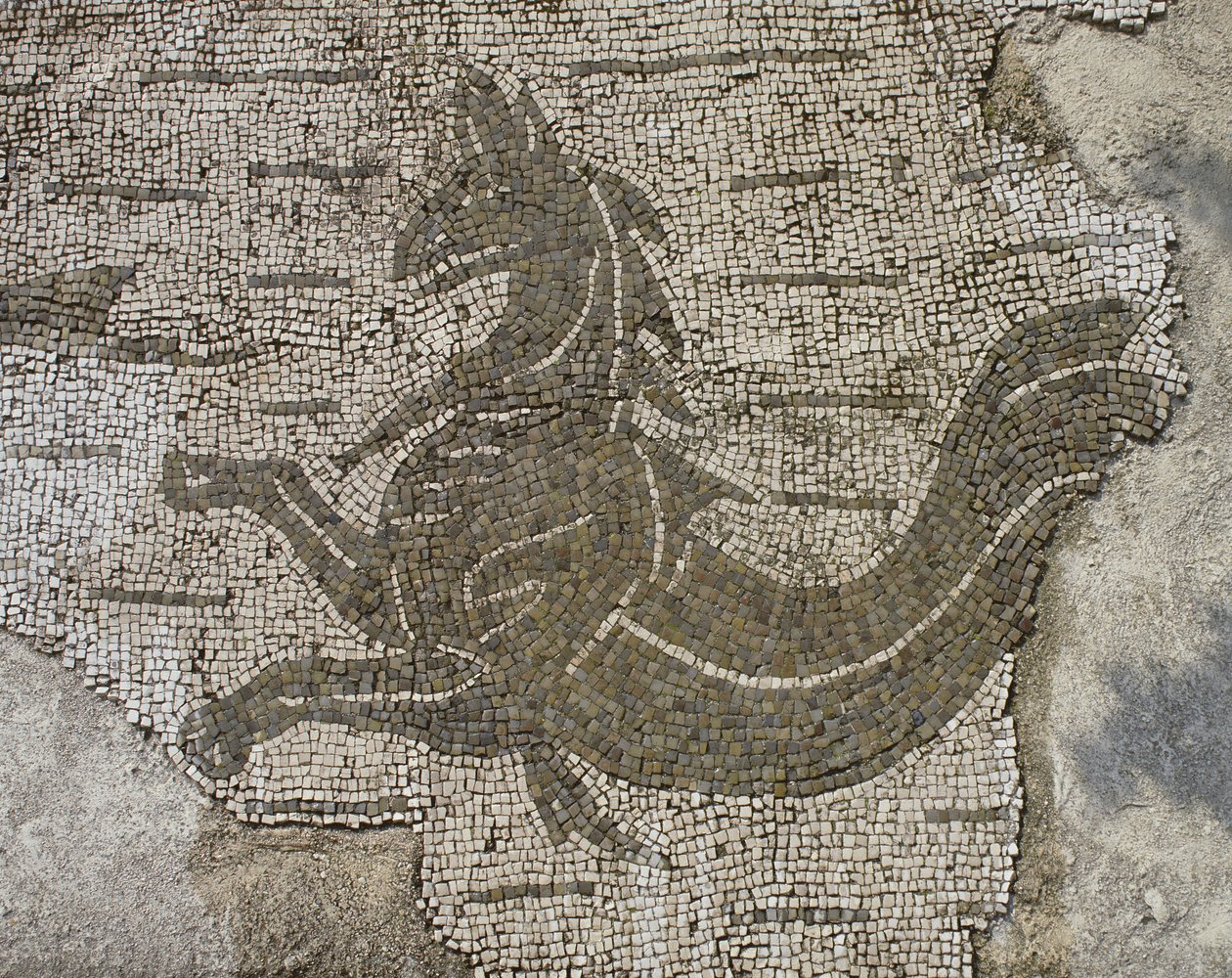 Dragon (mosaïque) - Roman