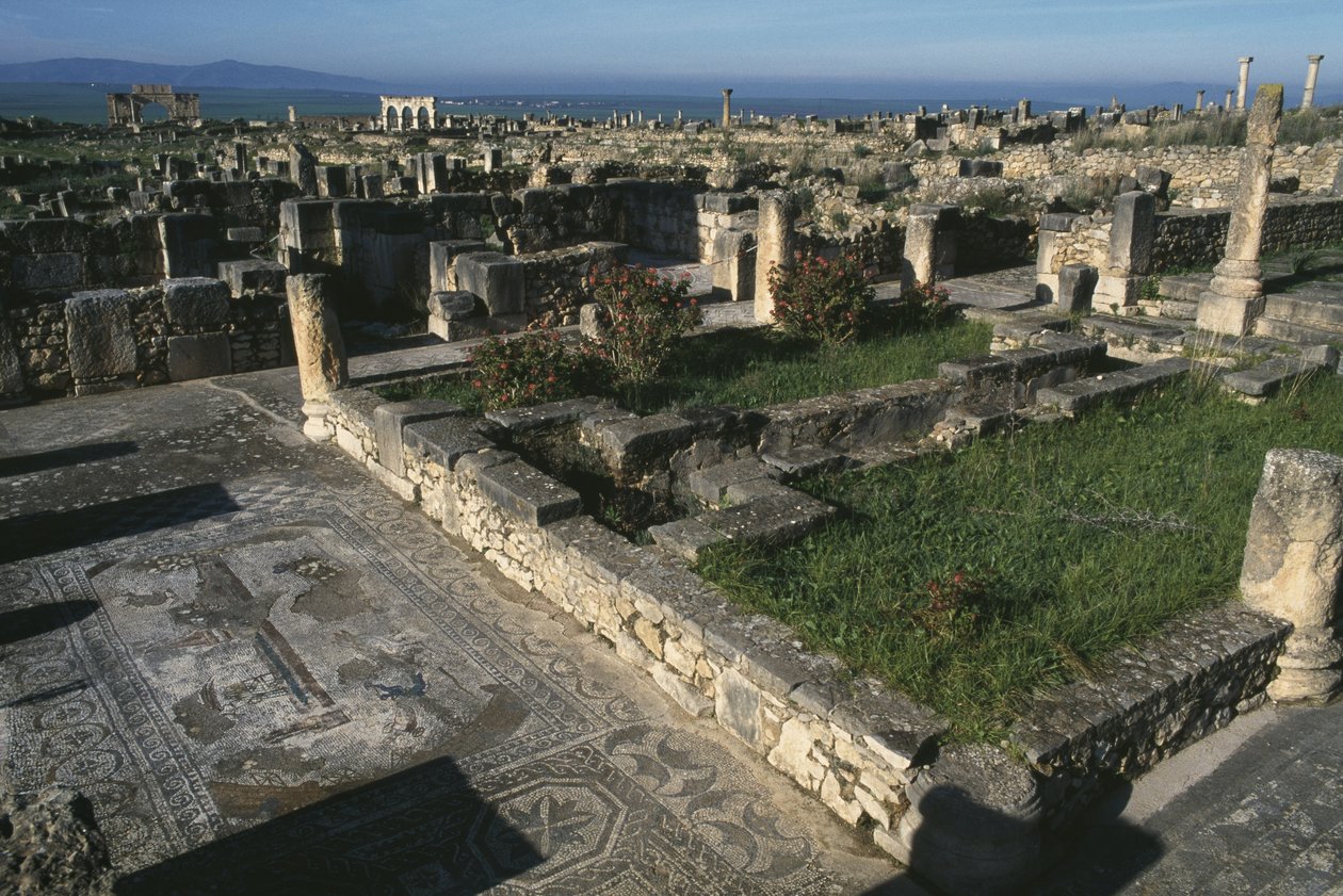 Vue générale - Roman