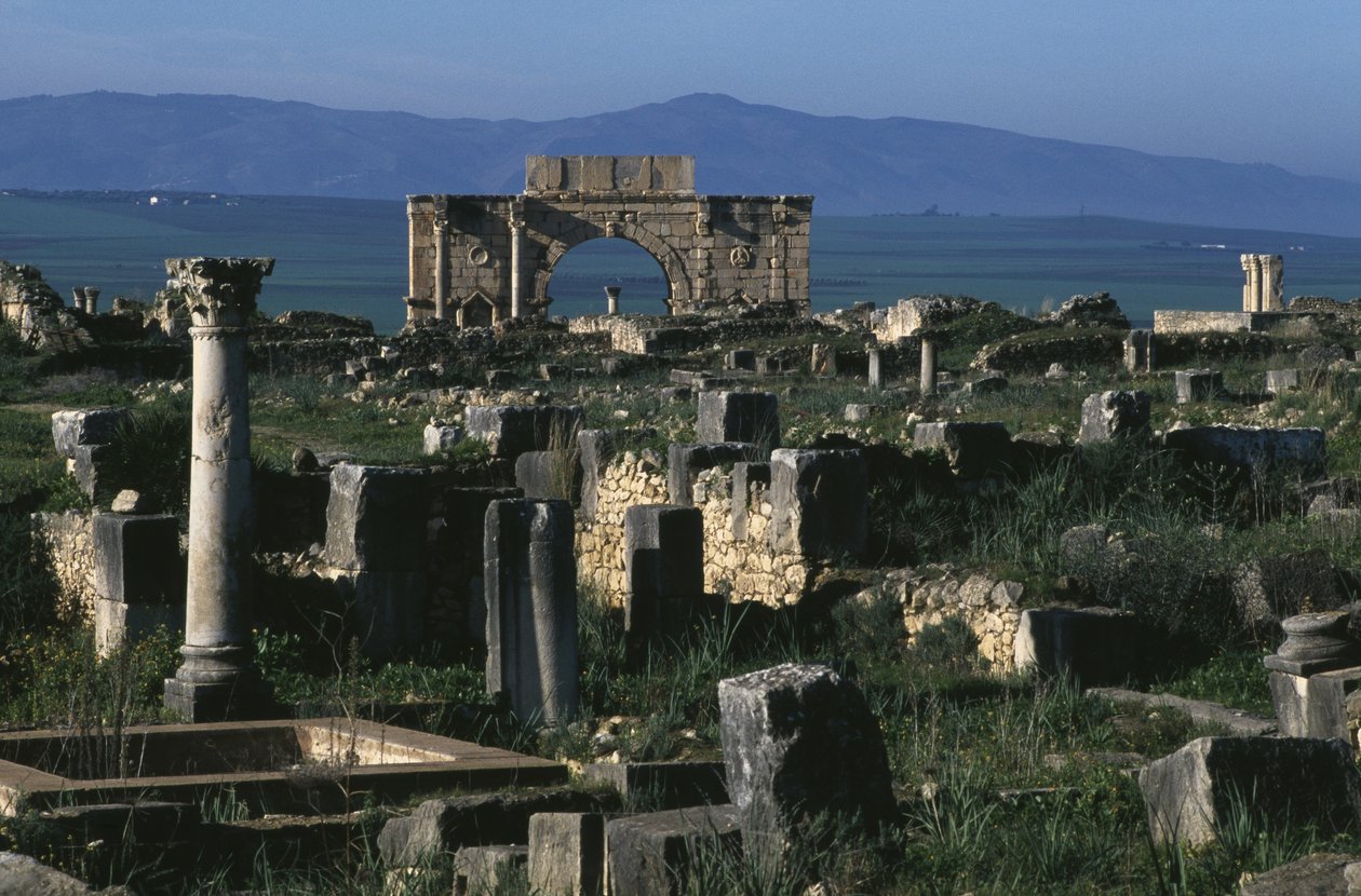 Vue générale - Roman