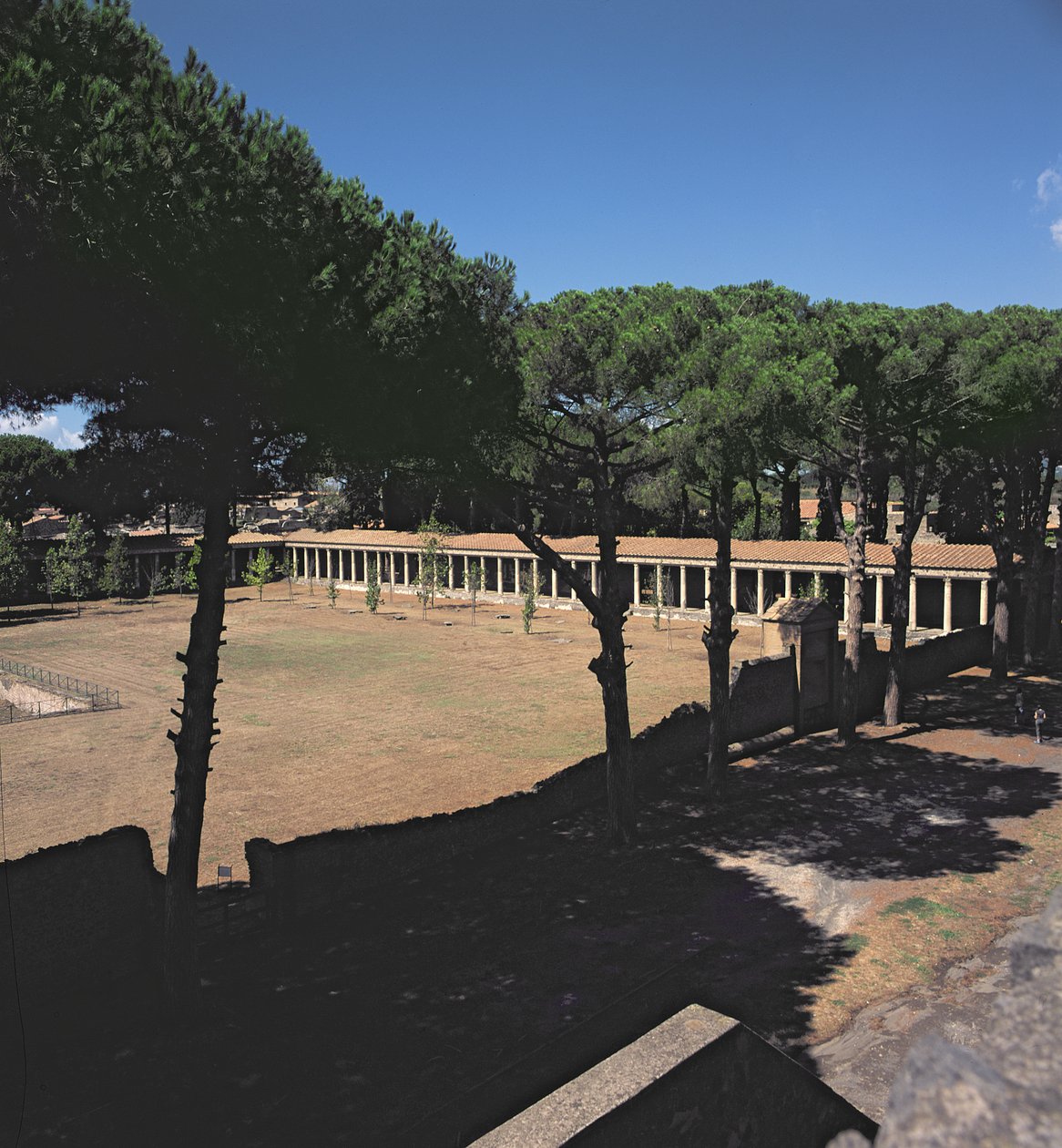 La Grande Palaestra - Roman