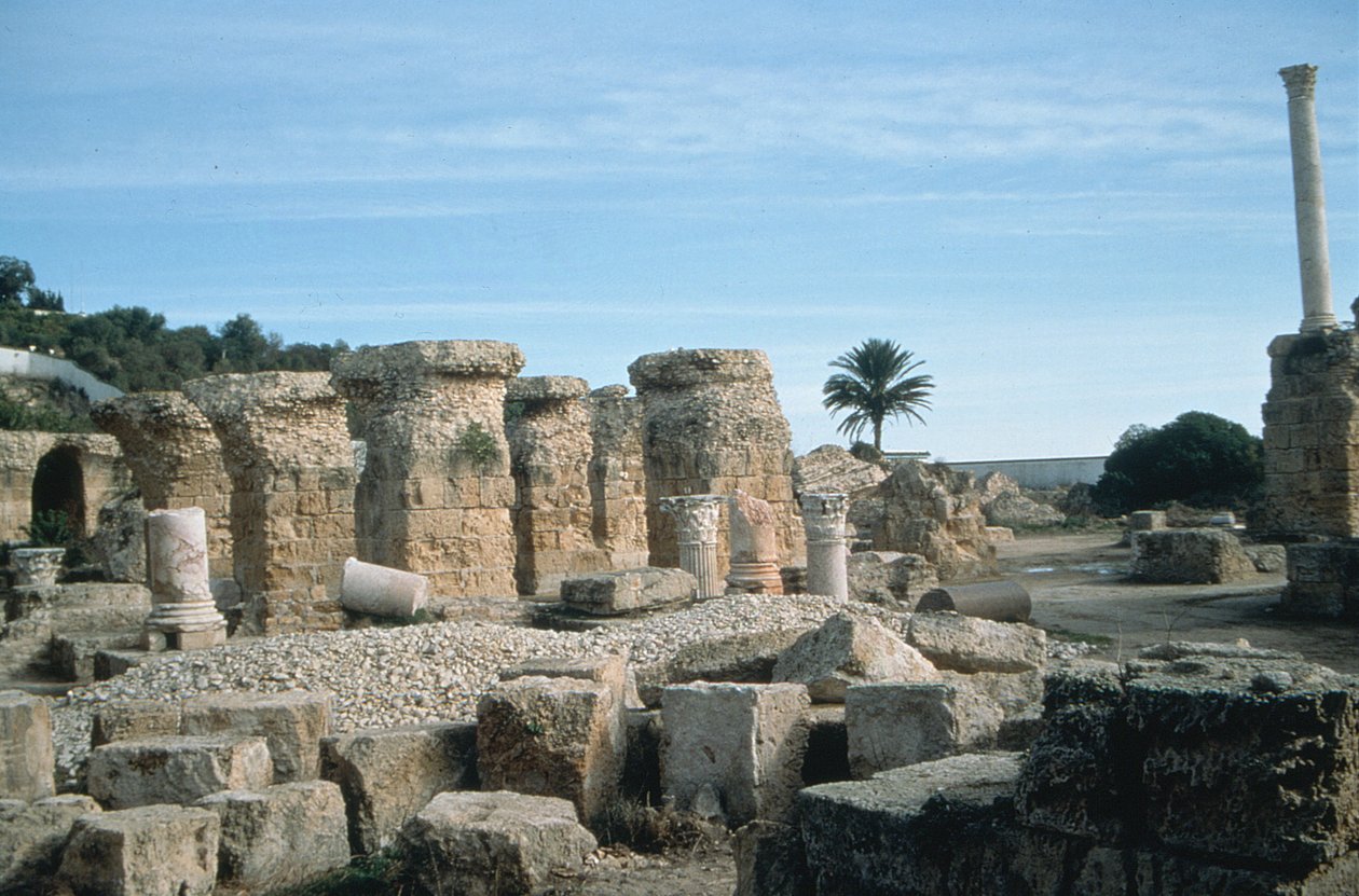 Vue des ruines - Roman