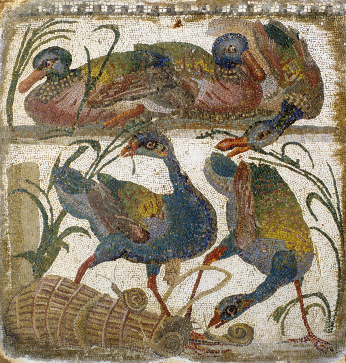 Oiseaux aquatiques (mosaïque) - Roman