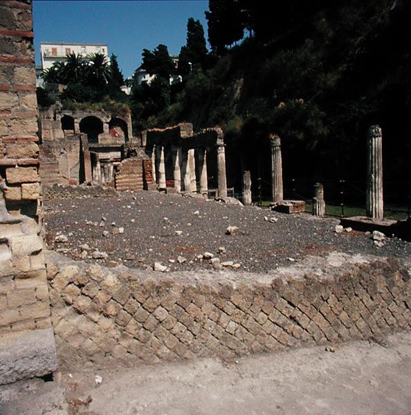 La Palestra - Roman Roman