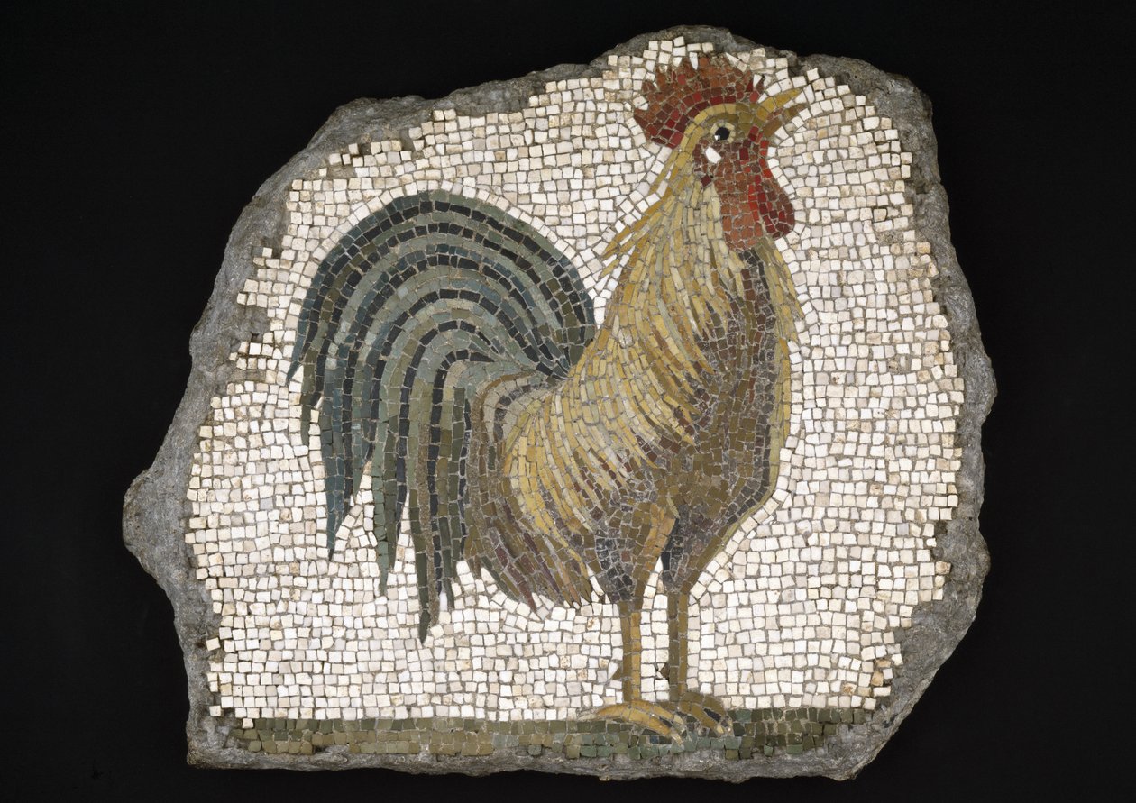Coq (mosaïque) - Roman