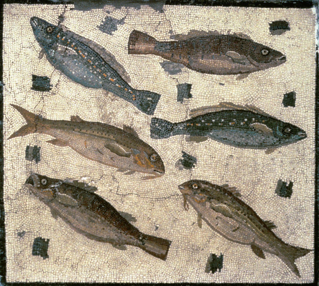 Poisson - Roman