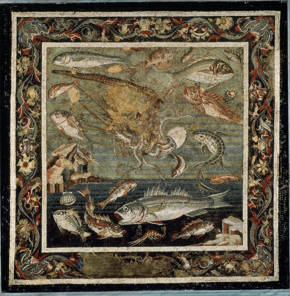 Vie marine (mosaïque) - Roman