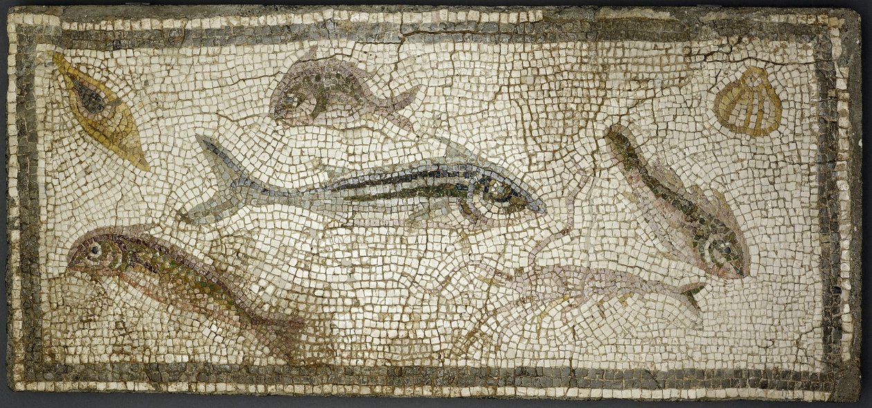 Panneau de mosaïque montrant des poissons, probablement 3e siècle après J.-C. - Roman