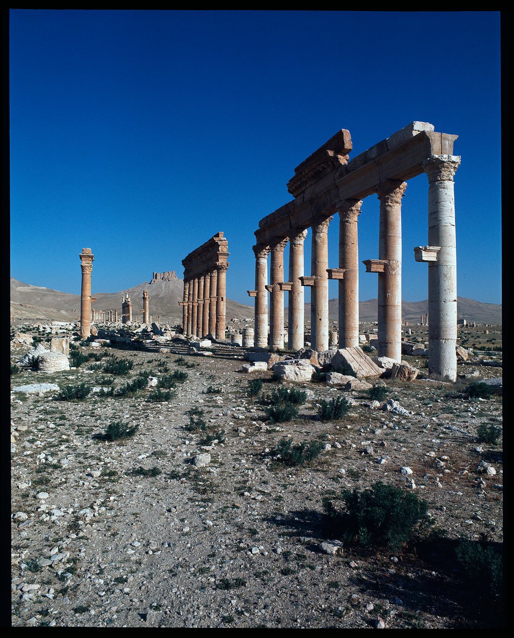 Vue des ruines de Palmyre - Roman