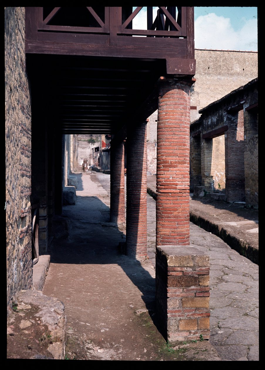 Rue, 5ème siècle av. J.-C.-1er siècle apr. J.-C. - Roman Roman