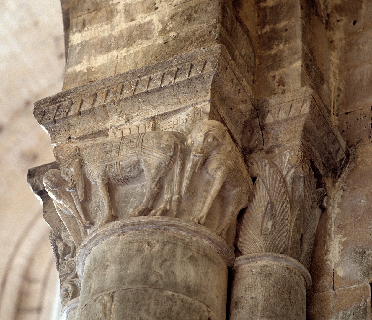 Éléphants (chapiteau sculpté de la nef) - Romanesque