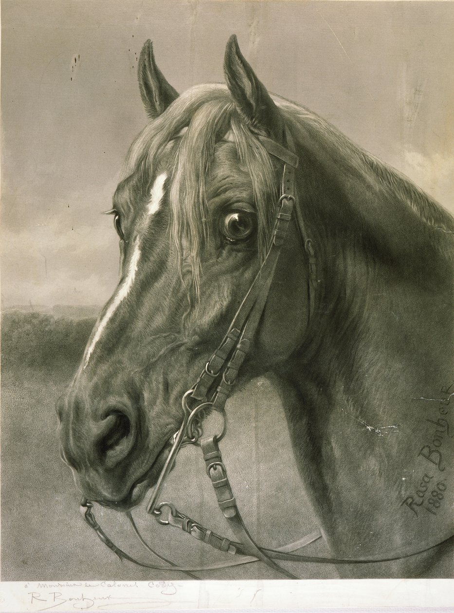 À Monsieur le Colonel Cody - Rosa Bonheur
