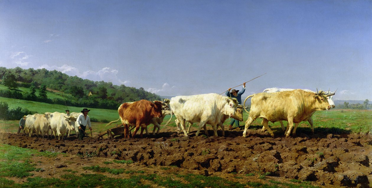Labourage en Nivernais, 1849 - Rosa Bonheur