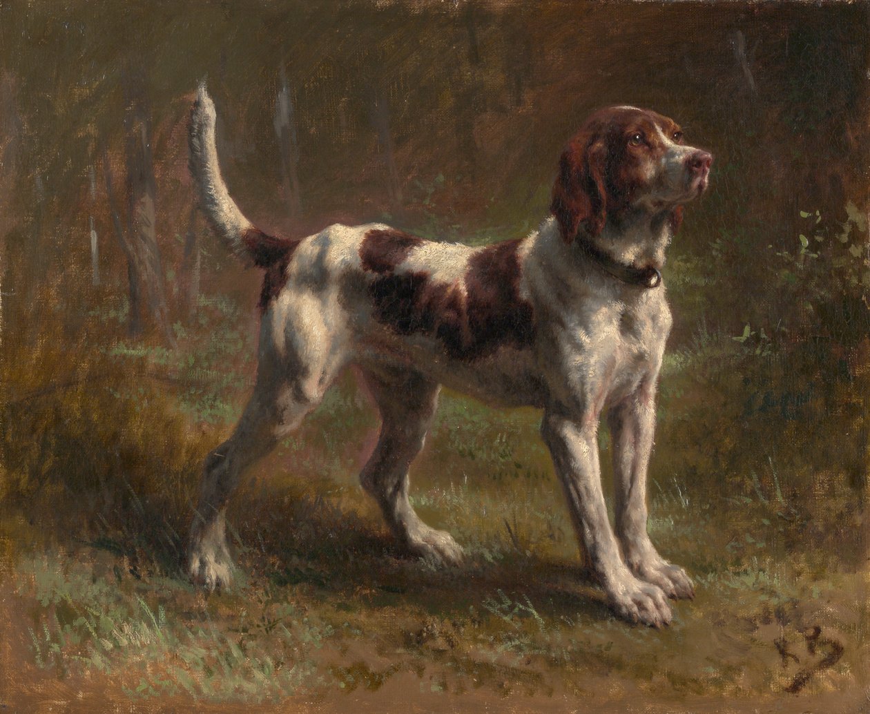 Un Limier Briquet, vers 1856 - Rosa Bonheur