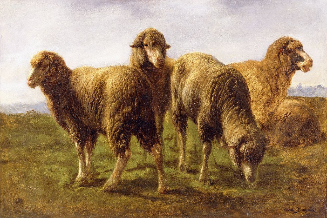 Moutons broutant dans un pré - Rosa Bonheur