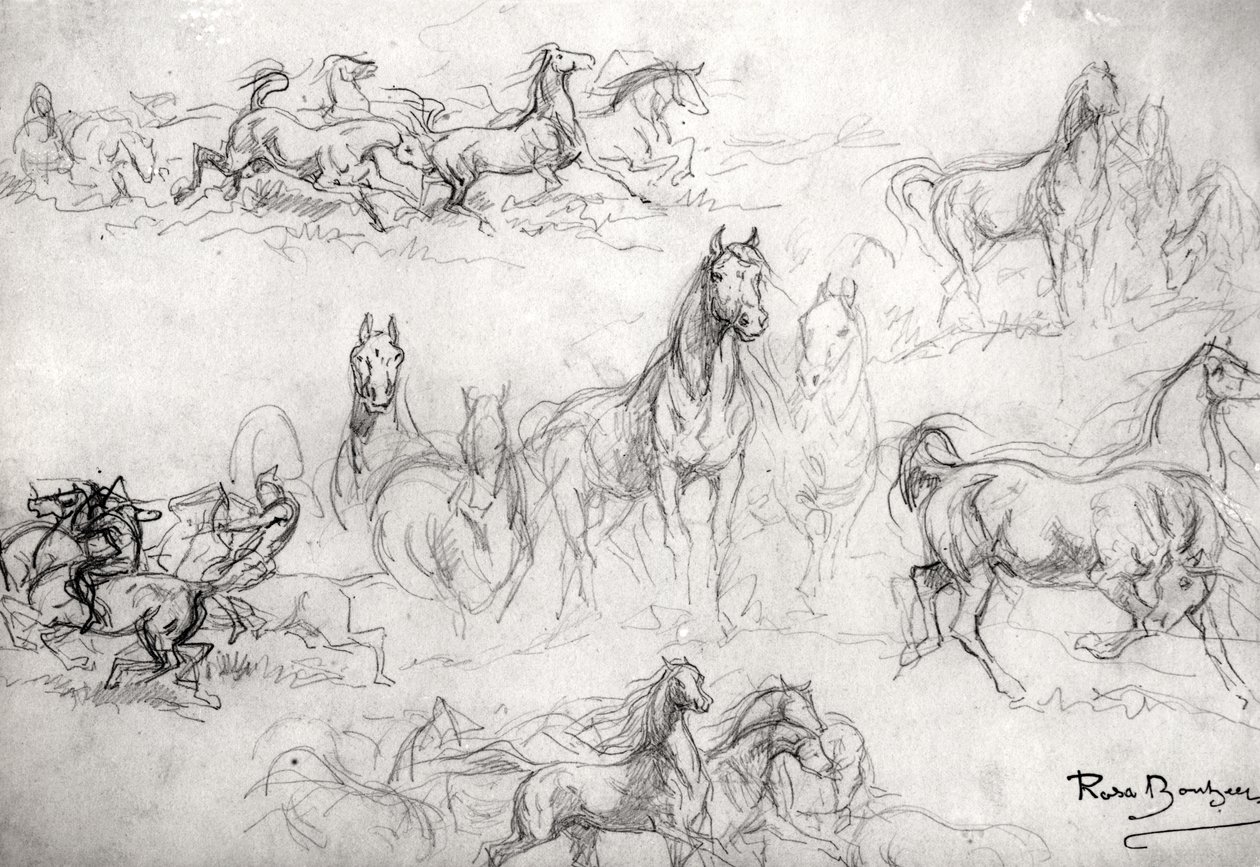 Étude de Chevaux - Rosa Bonheur