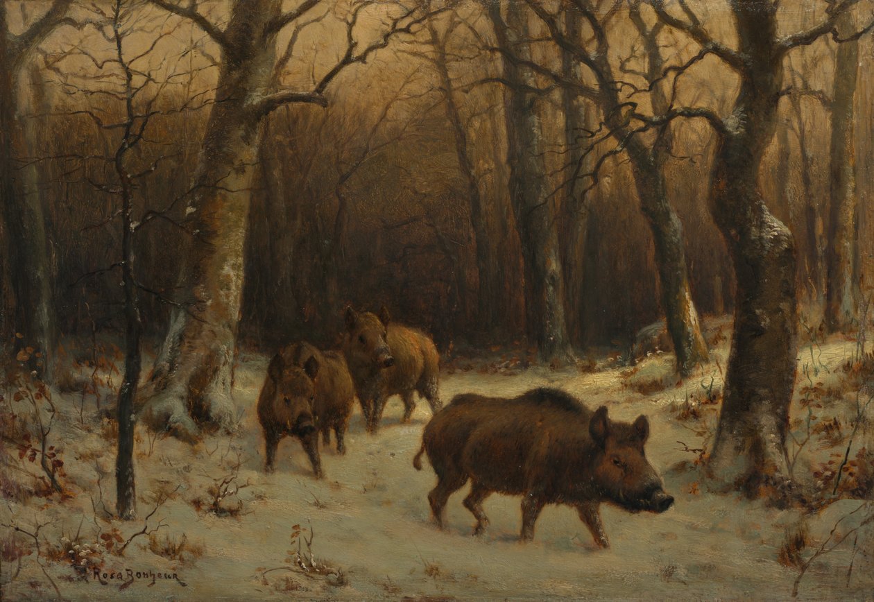 Sangliers dans la neige, c. 1872-1877 - Rosa Bonheur