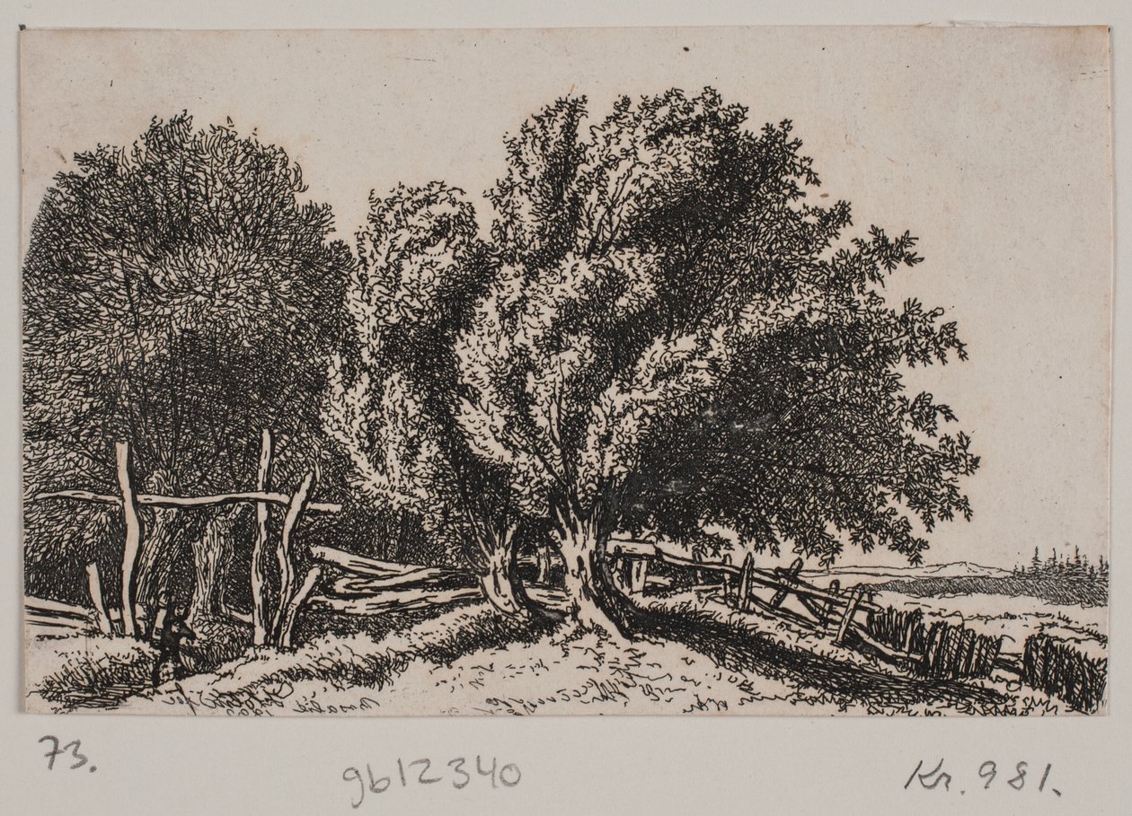Paysage - Rosalie Holm