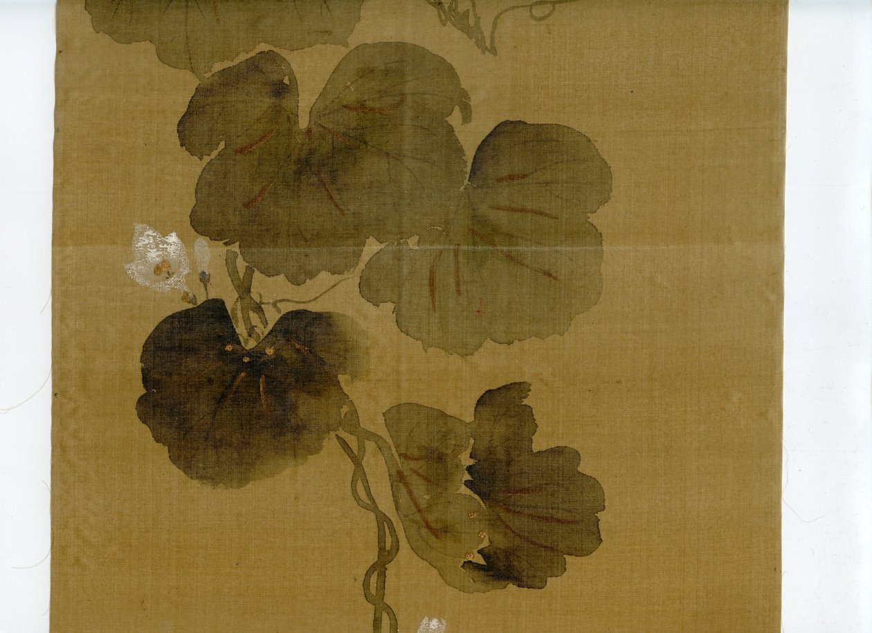 Vigne à fleurs de gourde, école Rinpa, signature et sceau de Sakai Hoitsu - Sakai Hoitsu