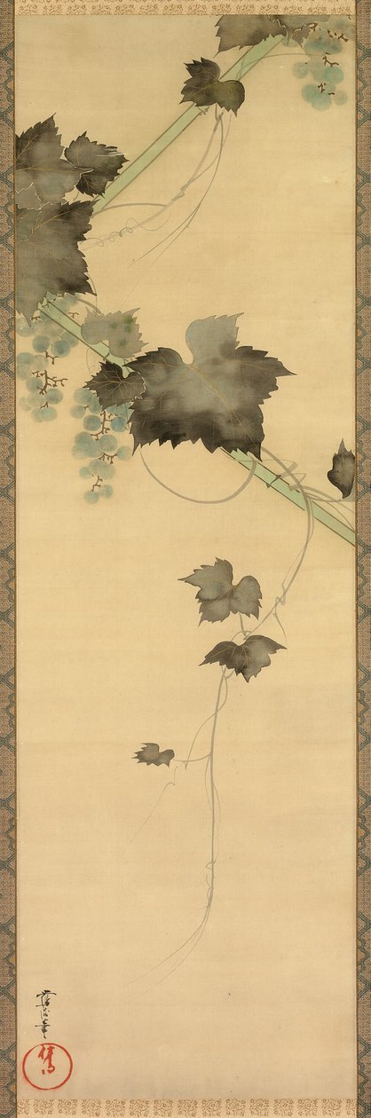 Vignes - Sakai Oho