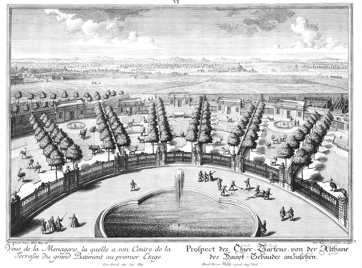 Vue du Tiergarten - Salomon Kleiner