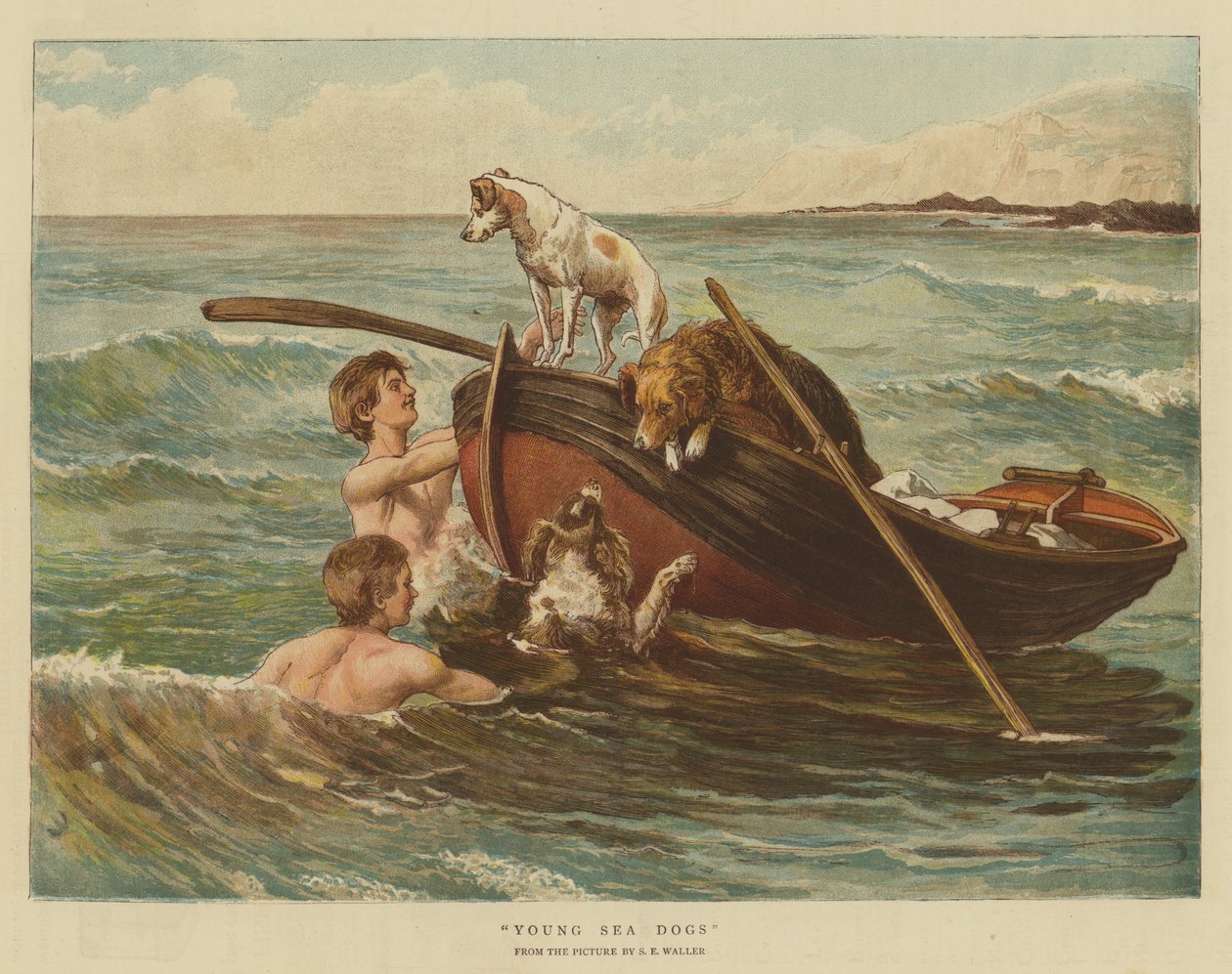 Jeunes chiens de mer - Samuel Edmund Waller