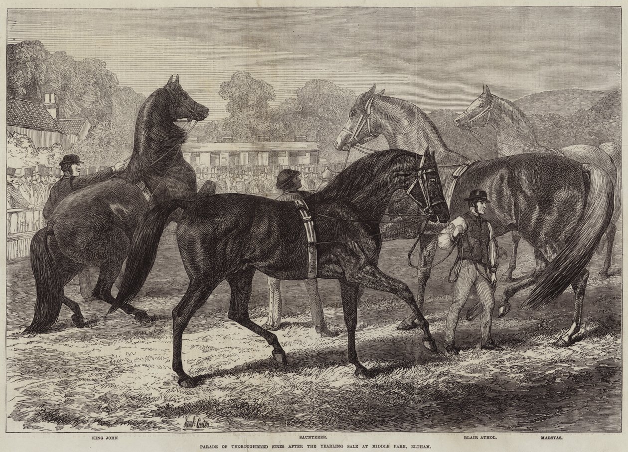 Parade des étalons pur-sang après la vente des yearlings à Middle Park, Eltham - Samuel John Carter