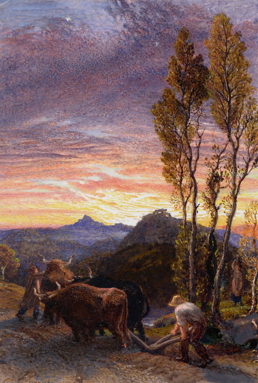 Bœufs labourant au coucher du soleil - Samuel Palmer