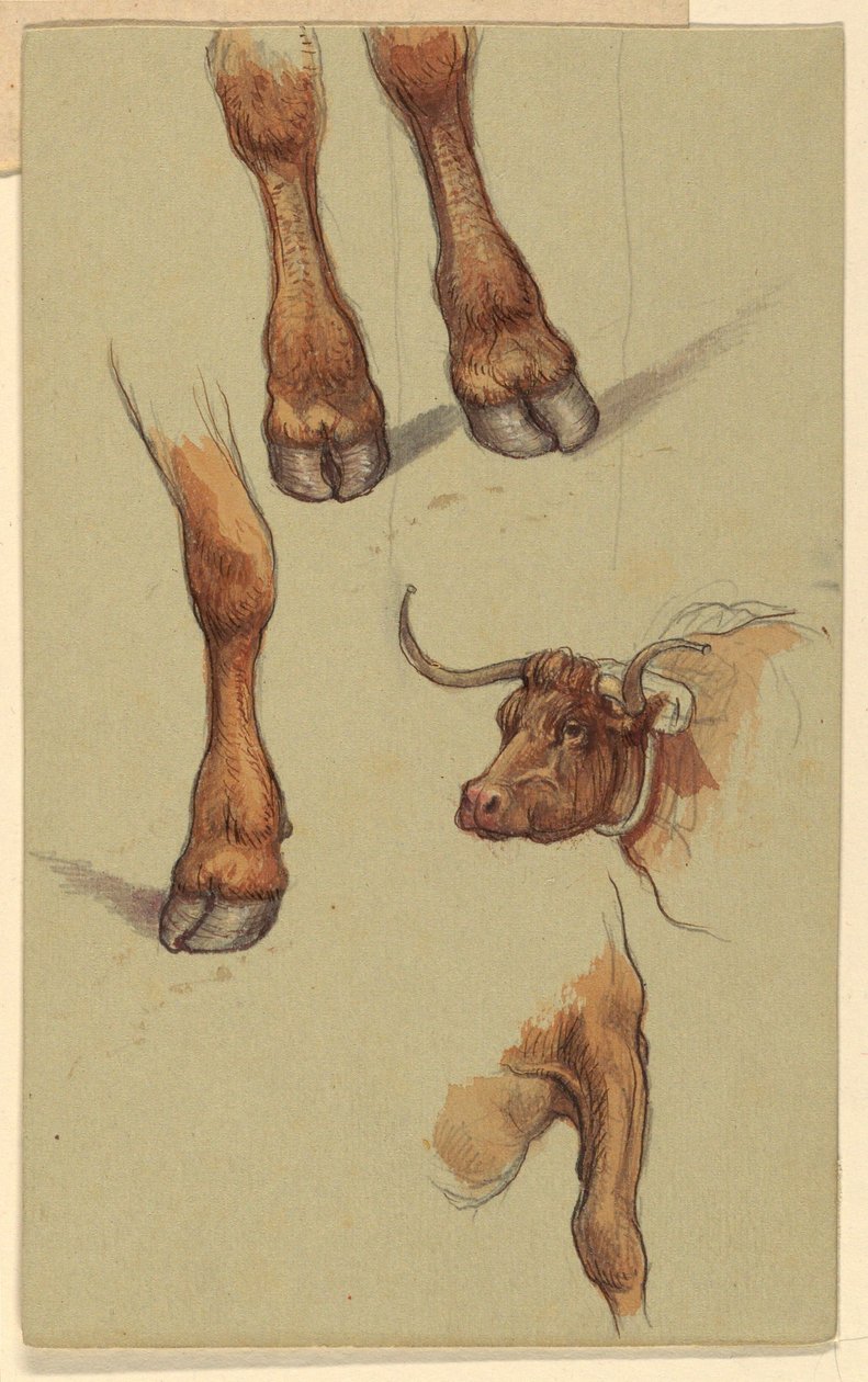 Dessin, Croquis de Narragensett, Rhode Island, 1871 - Samuel Colman