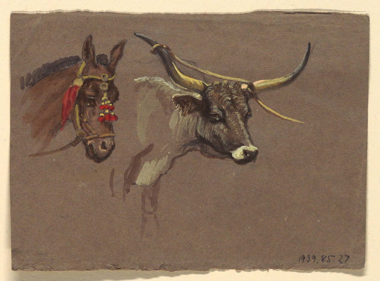 Dessin, études d