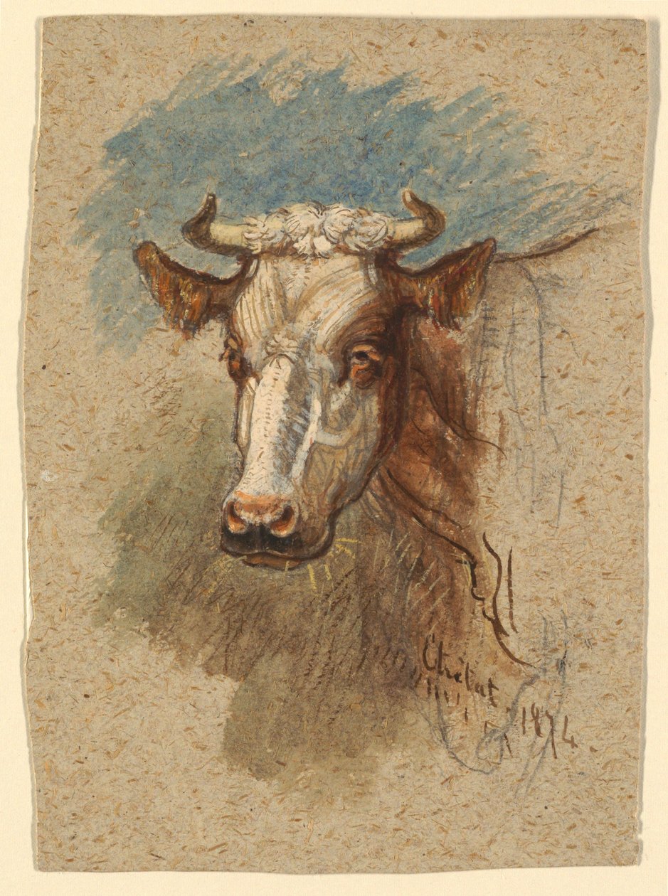 Tête de vache, Étretat - Samuel Colman