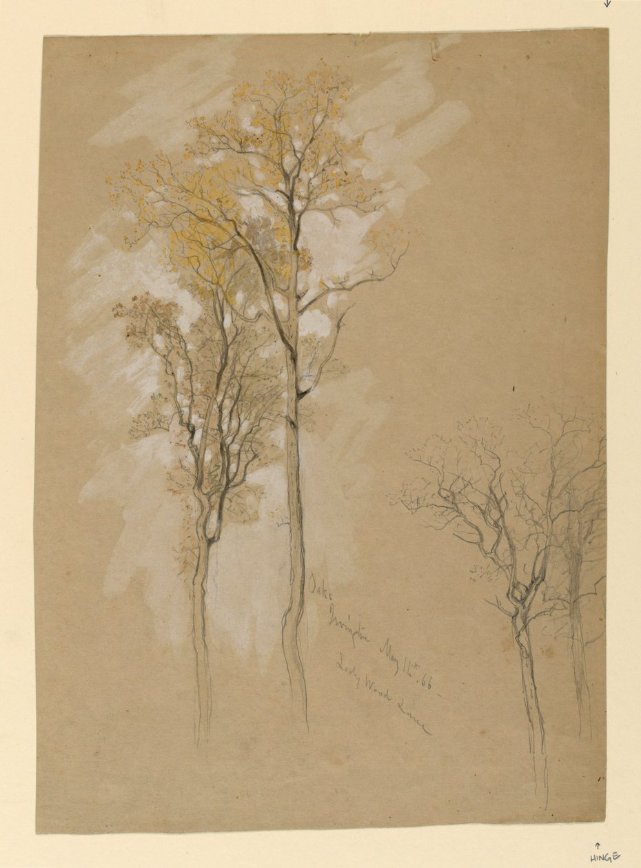Chênes, Lady Wood Lane, Irvington - Samuel Colman