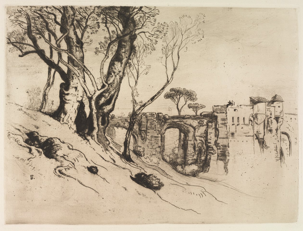 Oliviers de la Riviera, c. 1875 - Samuel Colman