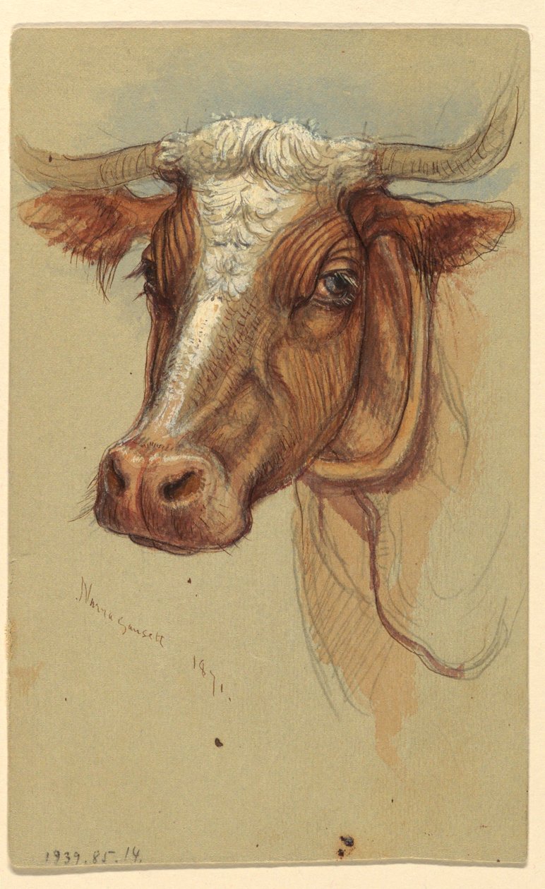 Croquis de Narragansett, Rhode Island - Samuel Colman
