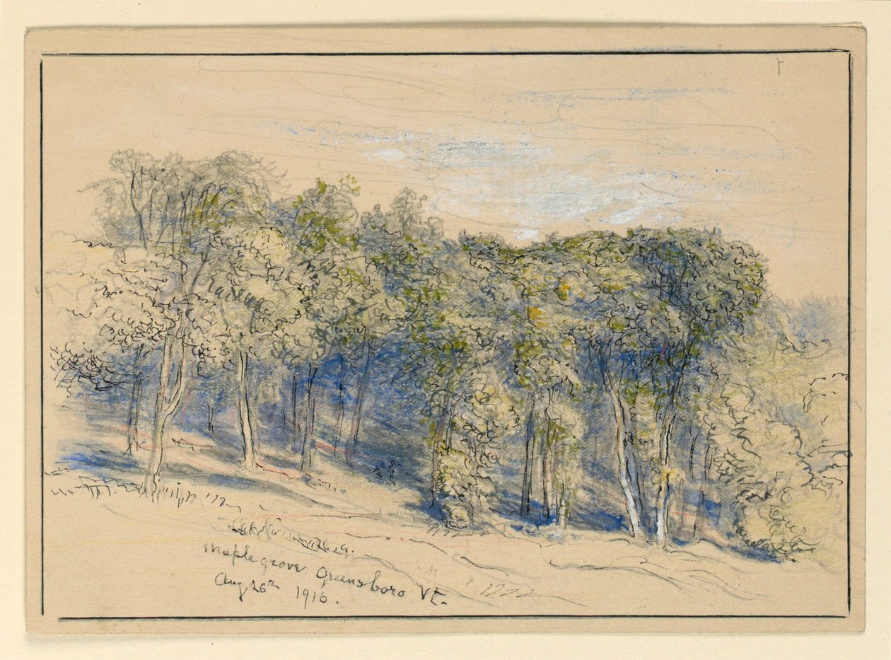 Étude de Maple Grove, Greensboro, Vermont - Samuel Colman