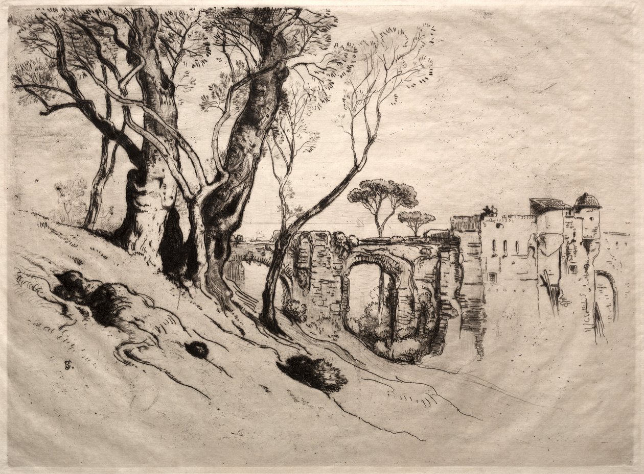 Les oliviers de la Riviera - Samuel Colman