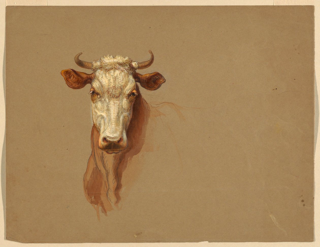 Deux études de bétail - Samuel Colman