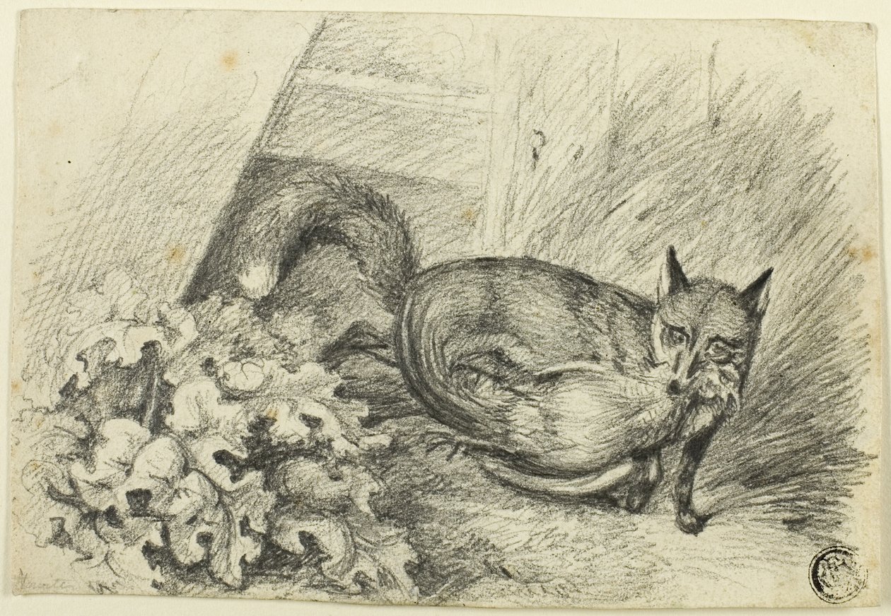 Renard volant un coq - Samuel Howett
