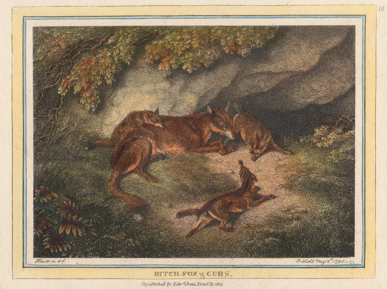 Renarde et Ses Petits - Samuel Howitt