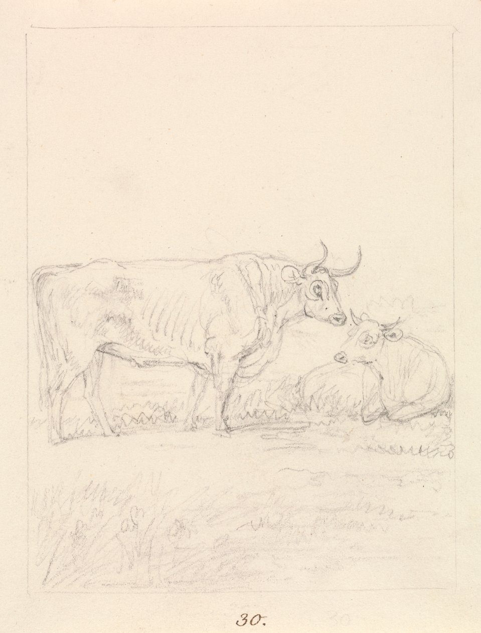 Taureau et vache - Samuel Howitt