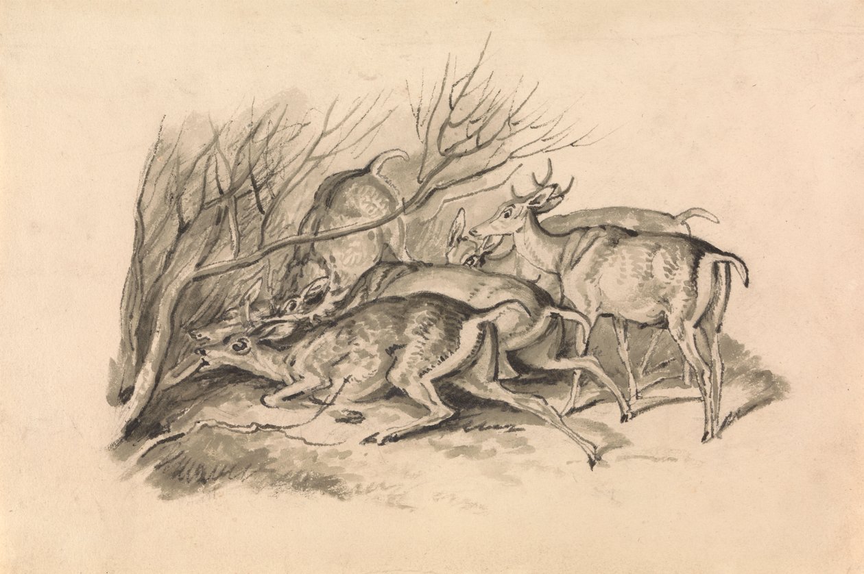 Cerfs devant un fourré - Samuel Howitt