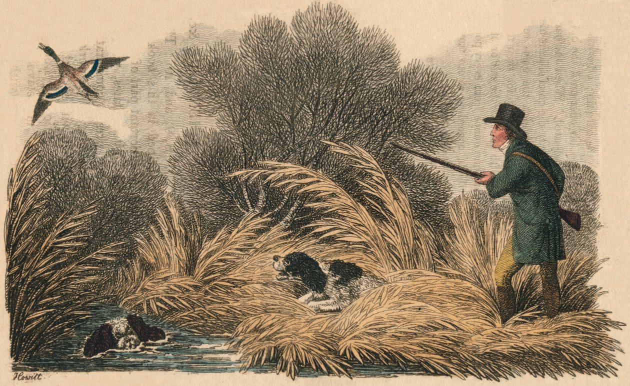 Chasse au canard, 1810 - Samuel Howitt