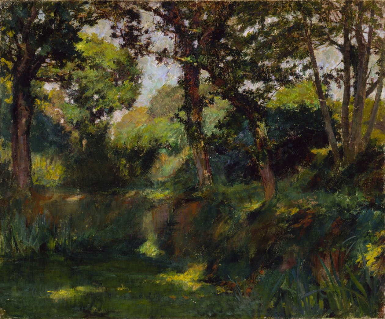 Paysage boisé - Samuel Isham