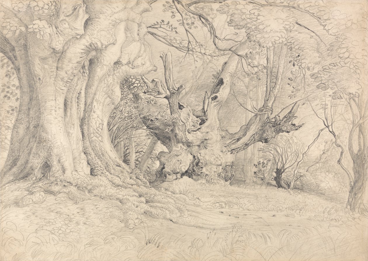 Arbres anciens, parc de Lullingstone - Samuel Palmer