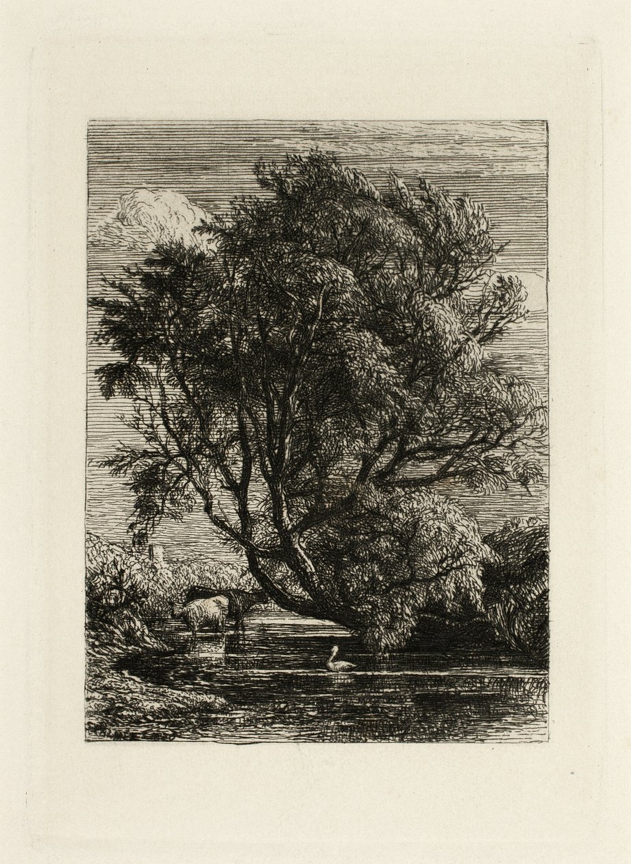 Le Saule - Samuel Palmer