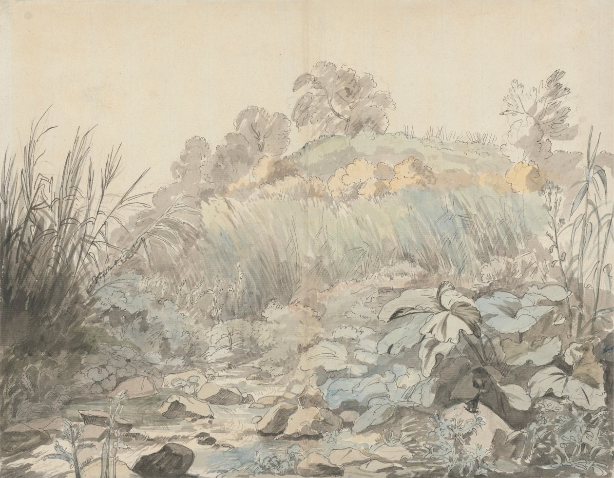 Un ruisseau rocheux - Samuel Woodforde