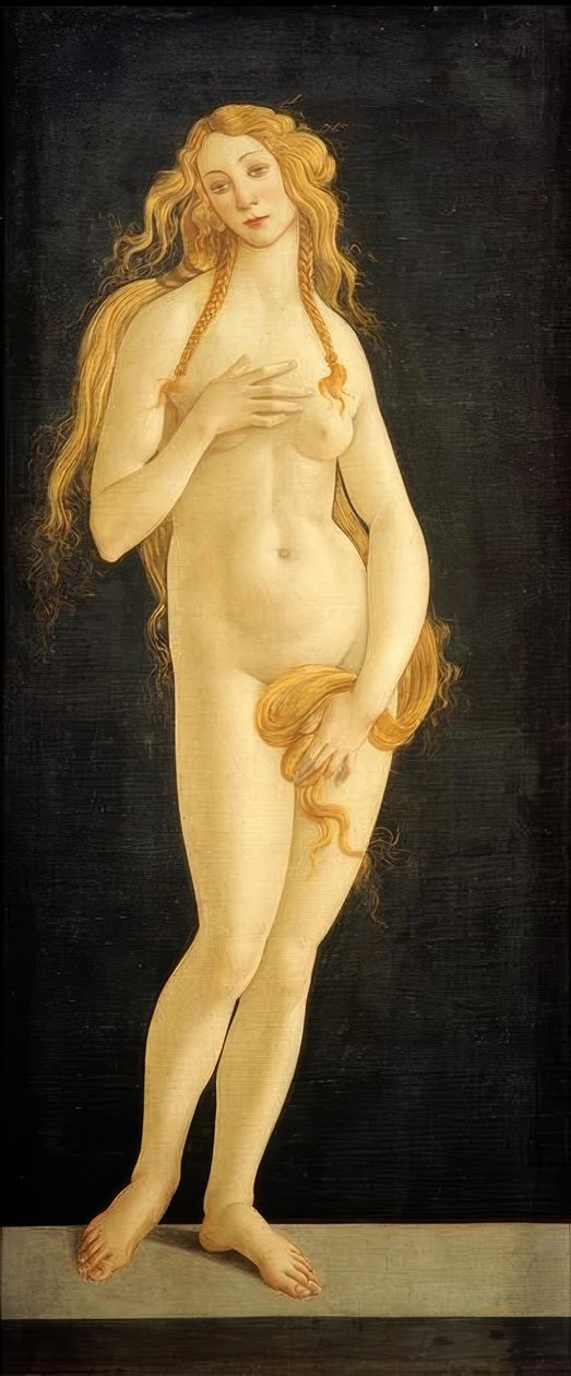 Vénus - Sandro Botticelli