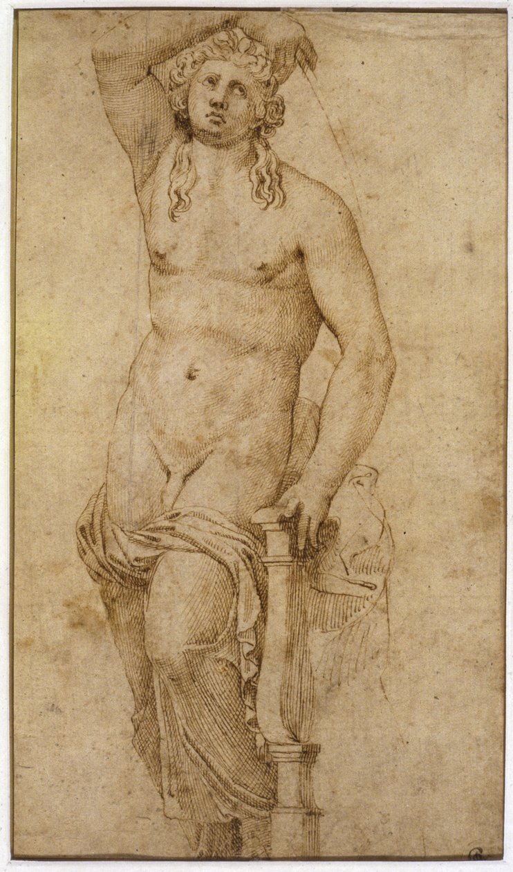 Apollon - Raffaello Sanzio Raphael