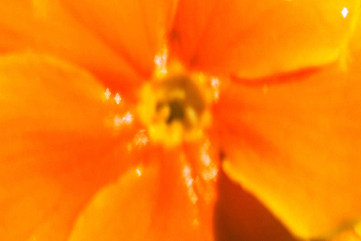 Soleil d