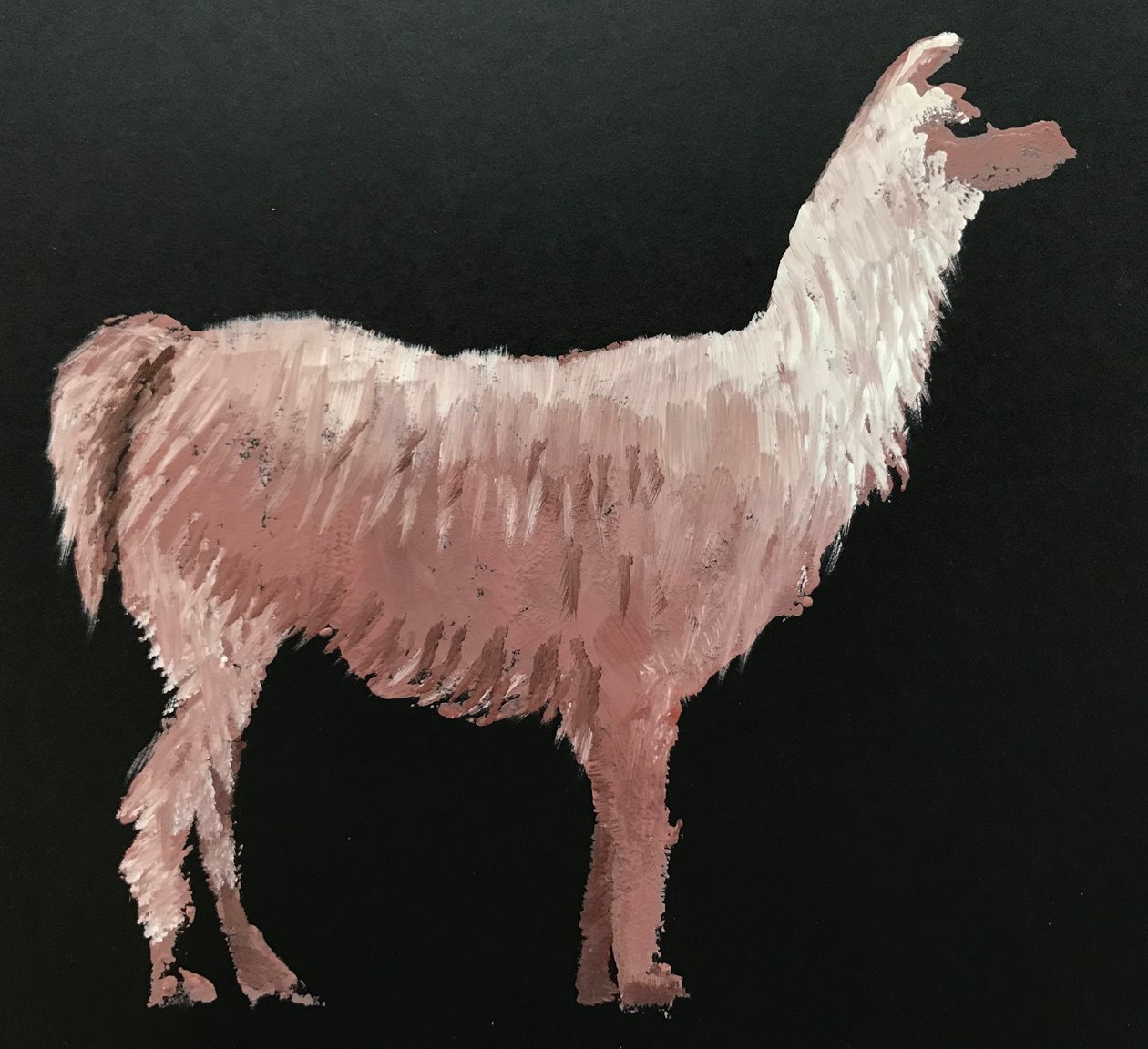 Lama - Sarah Thompson Engels