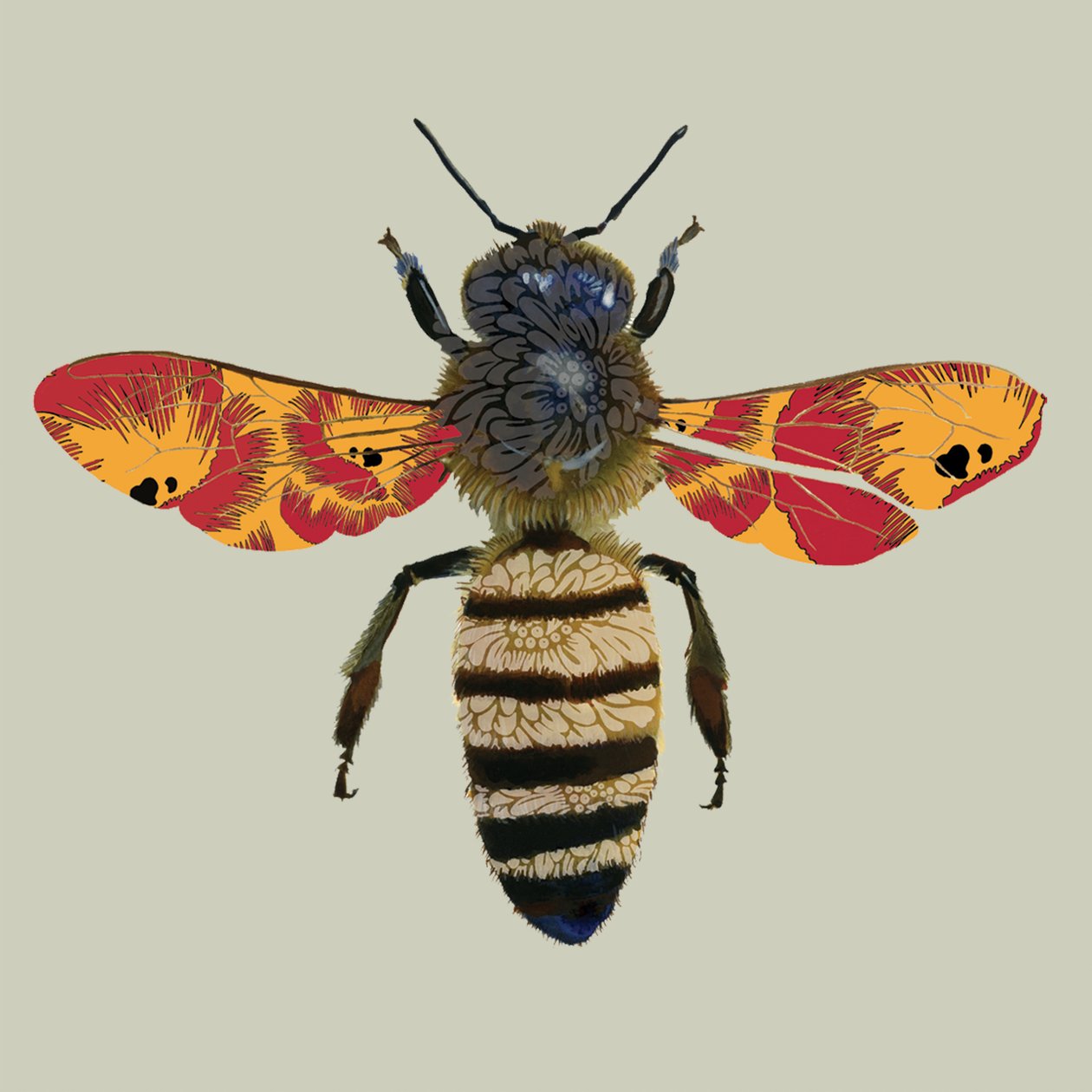 Abeille, 2010 - Sarah Hough
